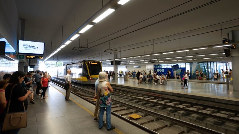 La evolución de los Servicios de Transporte: Un análisis del mercado actual